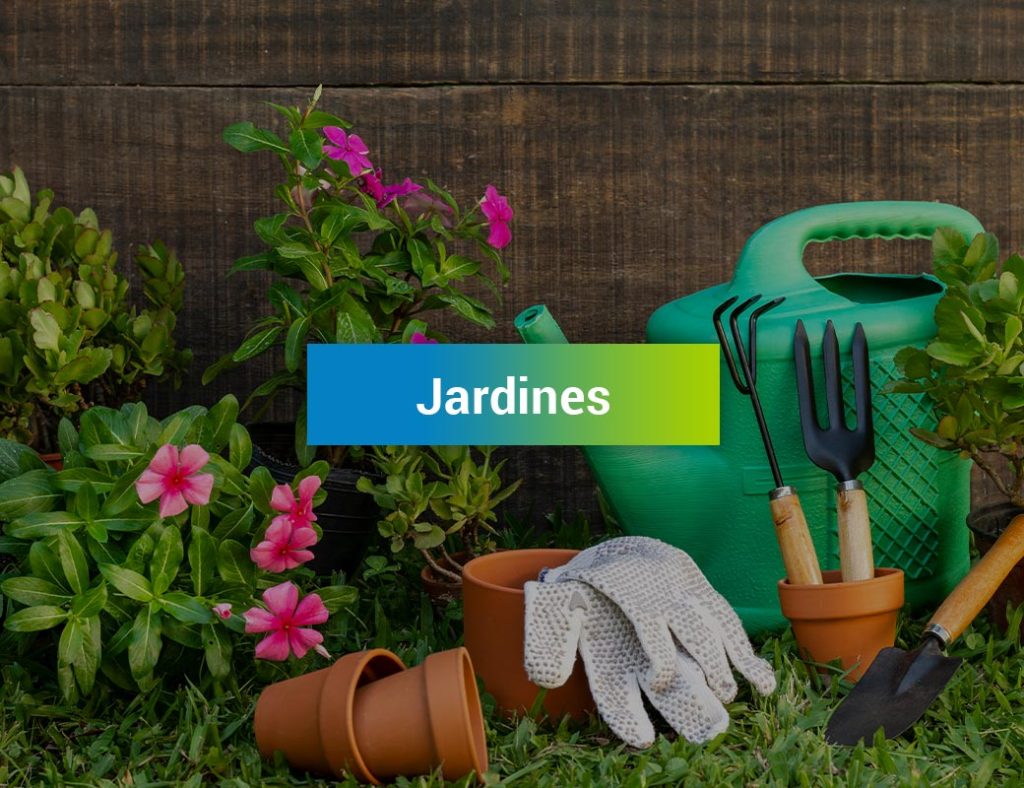 Fumigación en jardines