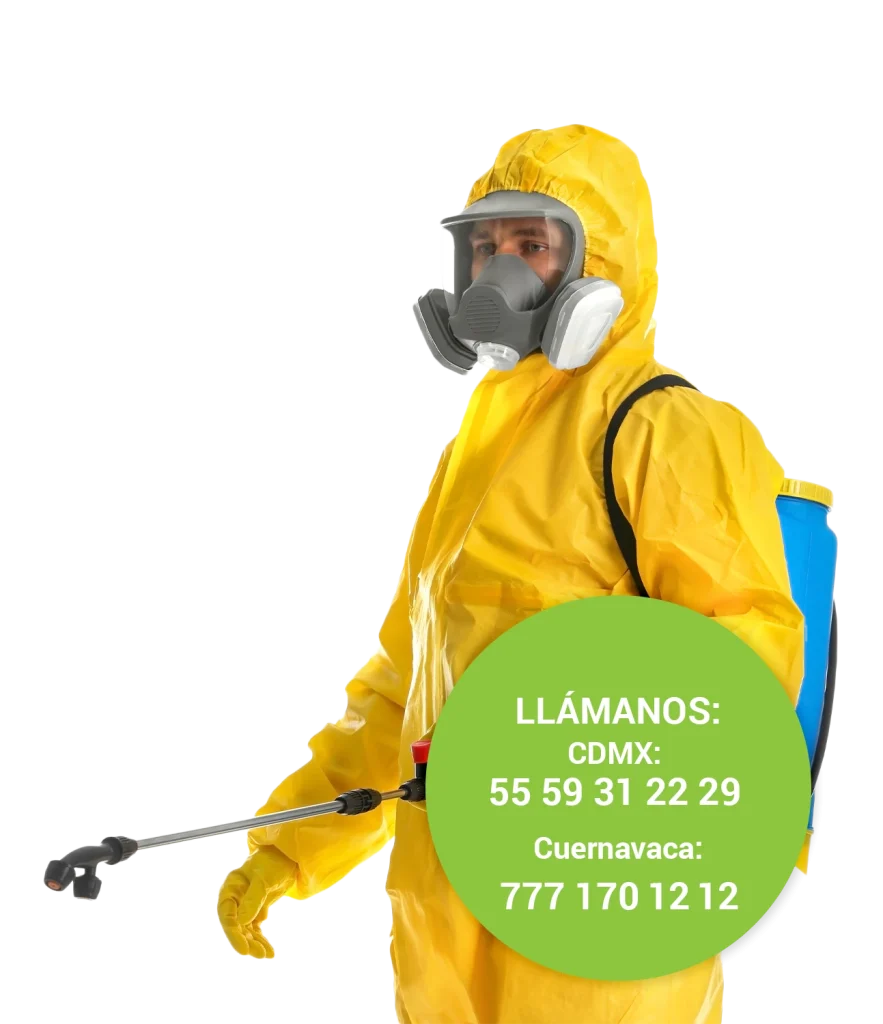 Técnicos de nuestra empresa de fumigación realizando control de plagas en una residencia